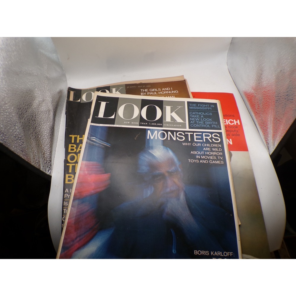 Vintage Look Magazine Lot 1964 1965 1966 Boris Karloff Dean Martin Monsters Ads